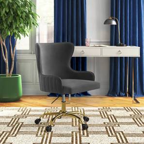 Adan Fabric Study Chair in Grey Colour