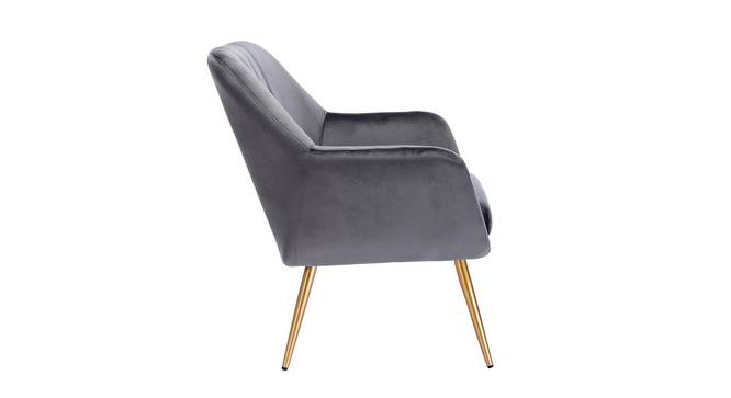 Brodie Accent Chair - Pink (Grey, Powder Coating Finish) by Urban Ladder - Cross View Design 1 - 671895