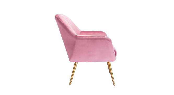 Brodie Accent Chair - Pink (Pink, Powder Coating Finish) by Urban Ladder - Cross View Design 1 - 671896