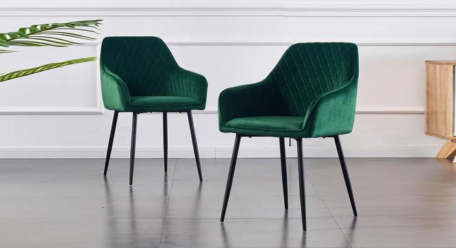 Seymour Arm Chair - Brown (Green, Powder Coating Finish) by Urban Ladder - Front View Design 1 - 671951