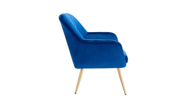 Brodie Accent Chair - Pink (Blue, Powder Coating Finish) by Urban Ladder - Cross View Design 1 - 671976