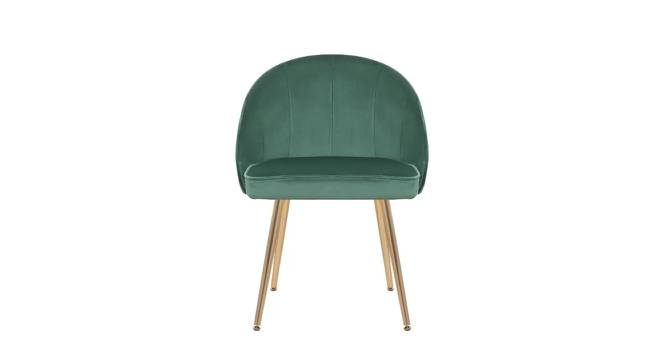Hindmen Side Chair - Pink (Green, Powder Coating Finish) by Urban Ladder - Cross View Design 1 - 671979