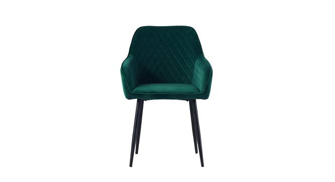 Seymour Arm Chair - Brown (Green, Powder Coating Finish) by Urban Ladder - Cross View Design 1 - 671984