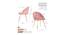 Hindmen Side Chair - Pink (Pink, Powder Coating Finish) by Urban Ladder - Design 1 Dimension - 671992