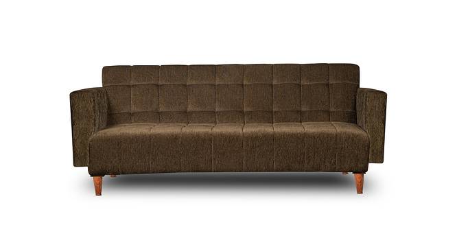 Pull Out Sofa cum Bed 72x44x16 Green (Green, Polished Finish) by Urban Ladder - Front View Design 1 - 672105