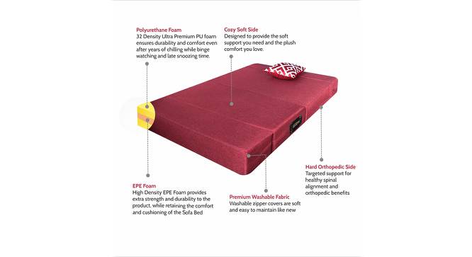 Fold Out Sofa cum Bed 6x2 Maroon (Maroon) by Urban Ladder - Cross View Design 1 - 672162