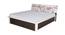 Nilkamal - Ignis Storage Engineered Wood Bed (King Bed Size, Dark Brown Finish) by Urban Ladder - Front View Design 1 - 672342