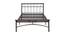 Nilkamal - Sistema Non Storage Metal Bed (Double Bed Size, Char Brown Finish) by Urban Ladder - Front View Design 1 - 672357