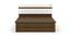 Nilkamal - Lodgy Storage Engineered Wood Bed (Queen Bed Size, Brown Finish) by Urban Ladder - Cross View Design 1 - 672371
