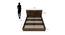 Nilkamal - Terence Storage Engineered Wood Bed (Walnut Finish, Queen Bed Size) by Urban Ladder - Design 1 Dimension - 672429