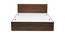 Nilkamal - Arthur Storage Engineered Wood Bed (Walnut Finish, Queen Bed Size) by Urban Ladder - Front View Design 1 - 672507