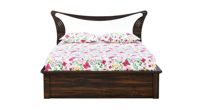 Nilkamal - Estana Storage Engineered Wood Bed (Queen Bed Size, Brown Finish) by Urban Ladder - Front View Design 1 - 672511