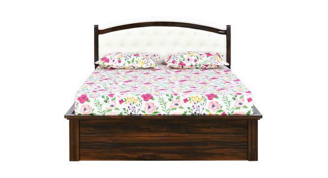 Nilkamal - Salsa Storage Engineered Wood Bed (King Bed Size, Brown Finish) by Urban Ladder - Front View Design 1 - 672512