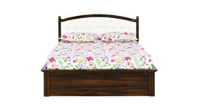 Nilkamal - Salsa Storage Engineered Wood Bed (Queen Bed Size, Brown Finish) by Urban Ladder - Front View Design 1 - 672514