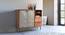 Jarrah Sideboard (Melamine Finish) by Urban Ladder - Cross View Design 1 - 674006
