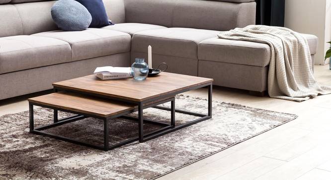Alan Coffee Table (Melamine Finish) by Urban Ladder - Front View Design 1 - 674166