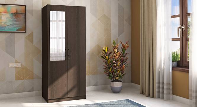 Zoey Two Door Wardrobe (With Mirror Configuration, Dark Wenge Finish) by Urban Ladder - Full View - 674346