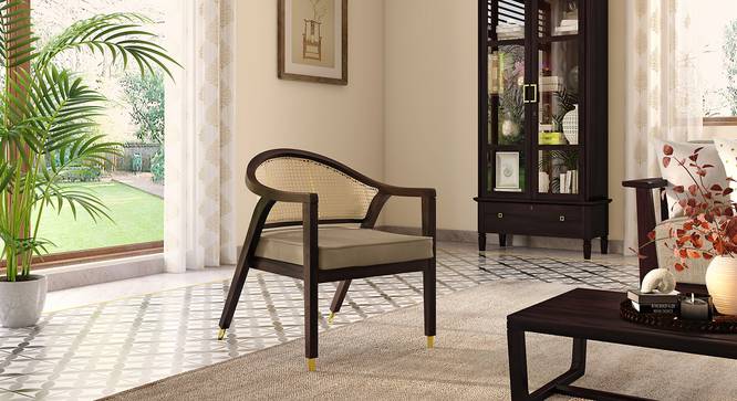 Hayworh lounge chair (American Walnut Finish, Fawn Velvet) by Urban Ladder - Front View Design 1 - 675618