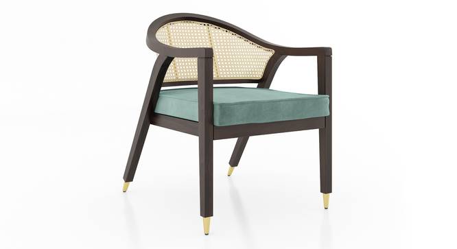 Hayworh lounge chair (American Walnut Finish, Dusty Turquoise Velvet) by Urban Ladder - Design 1 Side View - 675621