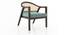 Hayworh lounge chair (American Walnut Finish, Dusty Turquoise Velvet) by Urban Ladder - Design 1 Side View - 675621