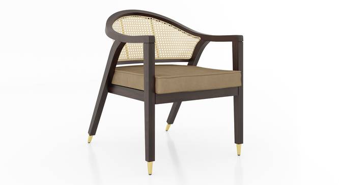 Hayworh lounge chair (American Walnut Finish, Fawn Velvet) by Urban Ladder - Design 1 Side View - 675622