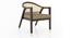 Hayworh lounge chair (American Walnut Finish, Fawn Velvet) by Urban Ladder - Design 1 Side View - 675622