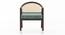 Hayworh lounge chair (American Walnut Finish, Dusty Turquoise Velvet) by Urban Ladder - Ground View Design 1 - 675625
