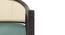 Hayworh lounge chair (American Walnut Finish, Dusty Turquoise Velvet) by Urban Ladder - Rear View Design 1 - 675627
