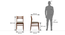 Catria Leon 6 Seater Dining Set (Teak Finish, Omega) by Urban Ladder - Image 1 Design 1 - 675843