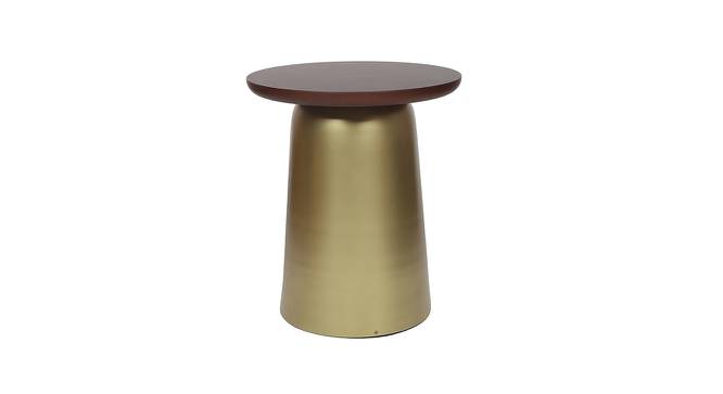 Esmerie Side Table (Gold, Small Size, Mahogany On Wood & Brass Antique Finish) by Urban Ladder - Front View Design 1 - 675903