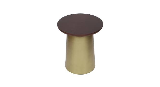 Esmerie Side Table (Gold, Small Size, Mahogany On Wood & Brass Antique Finish) by Urban Ladder - Design 1 Side View - 675914