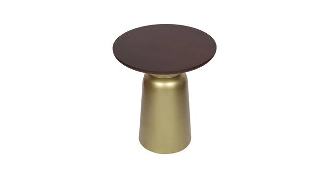 Esmerie Side Table (Gold, Large Size, Mahogany On Wood & Brass Antique Finish) by Urban Ladder - Design 1 Side View - 675915