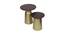 Etoile Side Table - Set of 2 (Gold, Mahogany On Wood & Walnut on Legs Finish) by Urban Ladder - Design 1 Side View - 675916