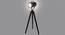 Pascale Floor Lamp (Black, Nickel Shade Colour) by Urban Ladder - Ground View Design 1 - 675924