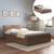 Pavis storage bed classic walnut lp