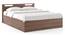 Pavis Storage Bed (Queen Bed Size, Box Storage Type, Classic Walnut Finish) by Urban Ladder - - 