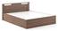 Pavis Storage Bed (Queen Bed Size, Box Storage Type, Classic Walnut Finish) by Urban Ladder - - 