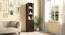 Hilda Display Cabinet (Espresso Finish) by Urban Ladder - Design 1 Full View - 677874
