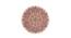 IMPERIAL KNOTS wool Carpets - Multicolor-5X5 (Multicolor, 5 x 5 Feet Carpet Size) by Urban Ladder - Front View Design 1 - 678002