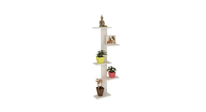 BLUEWUD Alaire Engineered Wood Wall Decor Shelf, Display Rack (White) (White Finish) by Urban Ladder - Front View Design 1 - 678761