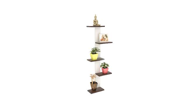 BLUEWUD Alaire Engineered Wood Wall Decor Shelf, Display Rack (Wenge & White) (Wenge & White Finish) by Urban Ladder - Front View Design 1 - 678762