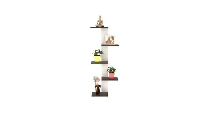 BLUEWUD Alaire Engineered Wood Wall Decor Shelf, Display Rack (Wenge & White) (Wenge & White Finish) by Urban Ladder - Design 1 Side View - 678786