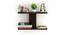 BLUEWUD Stellar Plus Engineered Wood Wall Decor Shelf, Display Rack, 2 Shelves (Wenge) (Wenge Finish) by Urban Ladder - Front View Design 1 - 678877