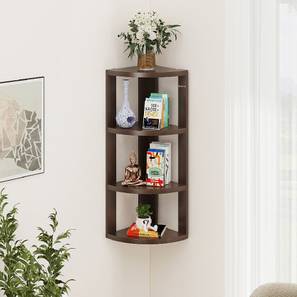 Corner Wall Shelf Design Alba Engineered Wood Bookshelf in Wenge Finish