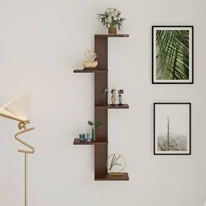 bluewud Alaire Engineered Wood Wall Shelf-picture-14