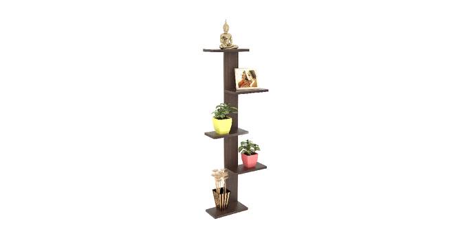 BLUEWUD Alaire Engineered Wood Wall Decor Shelf, Display Rack (Wenge) (Wenge Finish) by Urban Ladder - Front View Design 1 - 678966