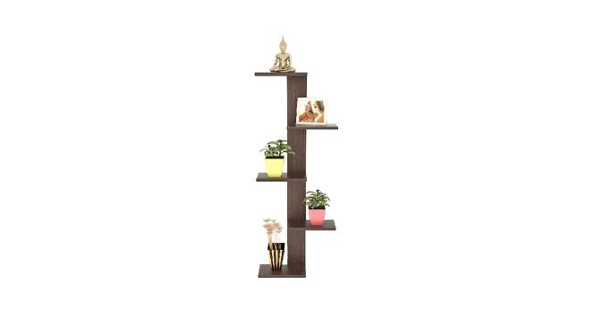 BLUEWUD Alaire Engineered Wood Wall Decor Shelf, Display Rack (Wenge) (Wenge Finish) by Urban Ladder - Design 1 Side View - 678990