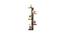 BLUEWUD Alaire Engineered Wood Wall Decor Shelf, Display Rack (Wenge) (Wenge Finish) by Urban Ladder - Design 1 Side View - 678990