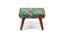 Queens Solid Wood Pouf Stool in Sea Green Fruit Print fabric (Green) by Urban Ladder - Design 1 Side View - 679464