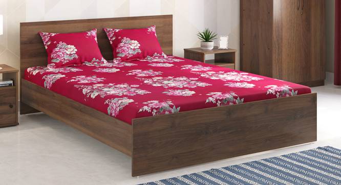 Sophia Bedsheets- Single (Magenta, Queen Size) by Urban Ladder - Front View - 